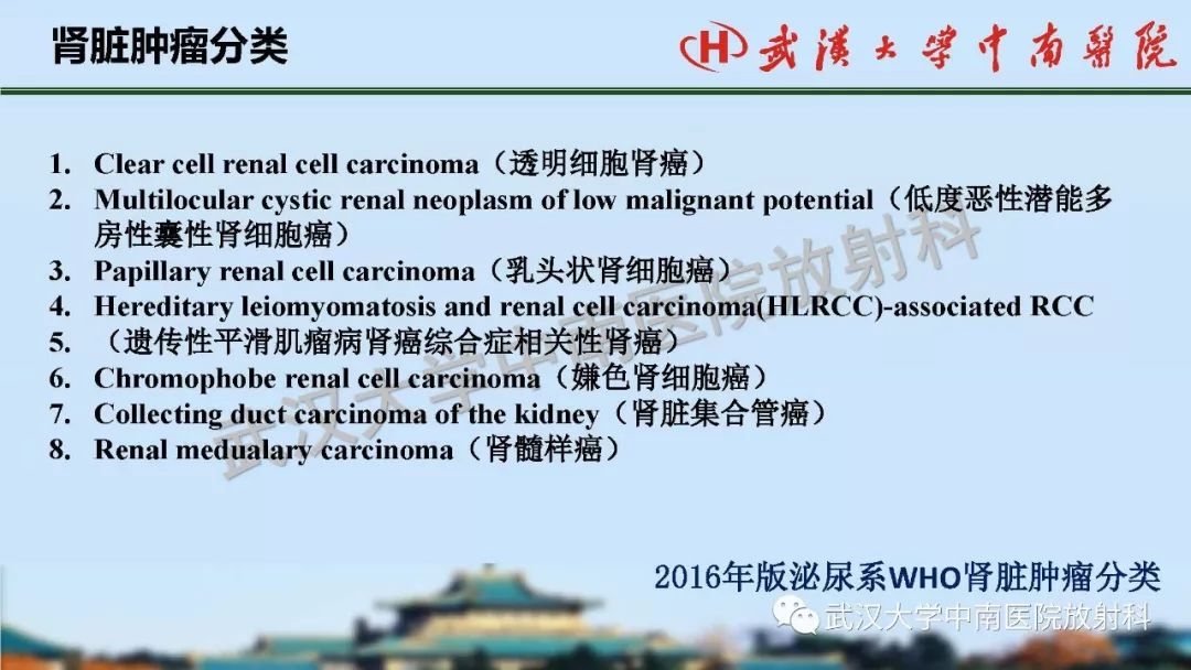 【PPT】肾脏解剖与实性肿瘤