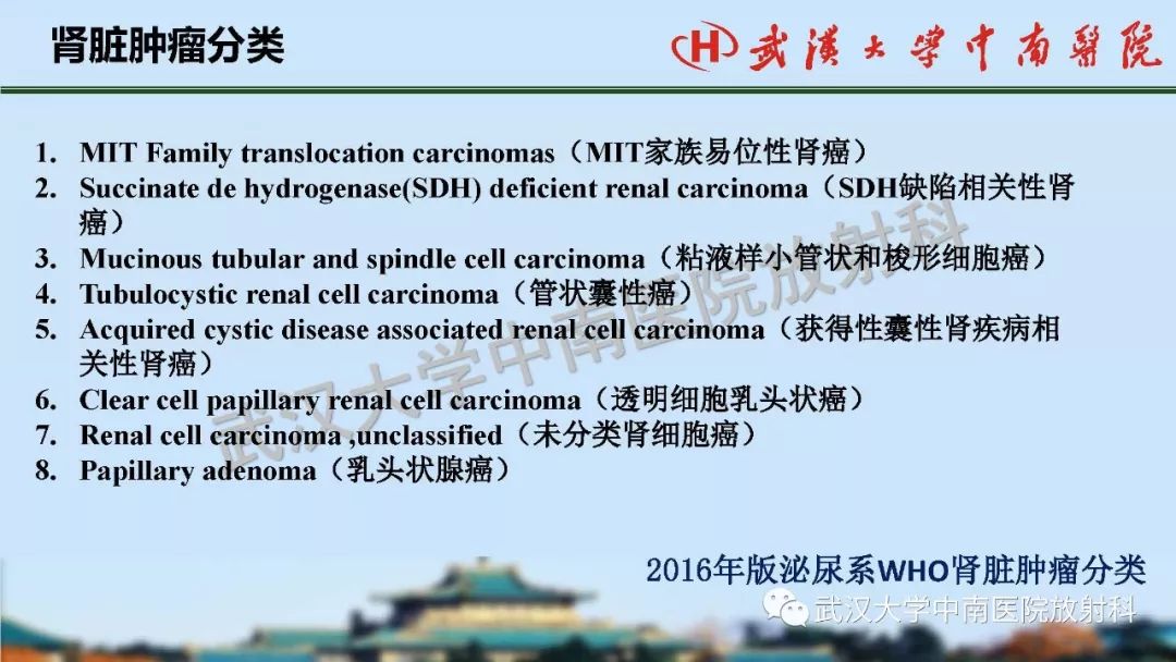 【PPT】肾脏解剖与实性肿瘤