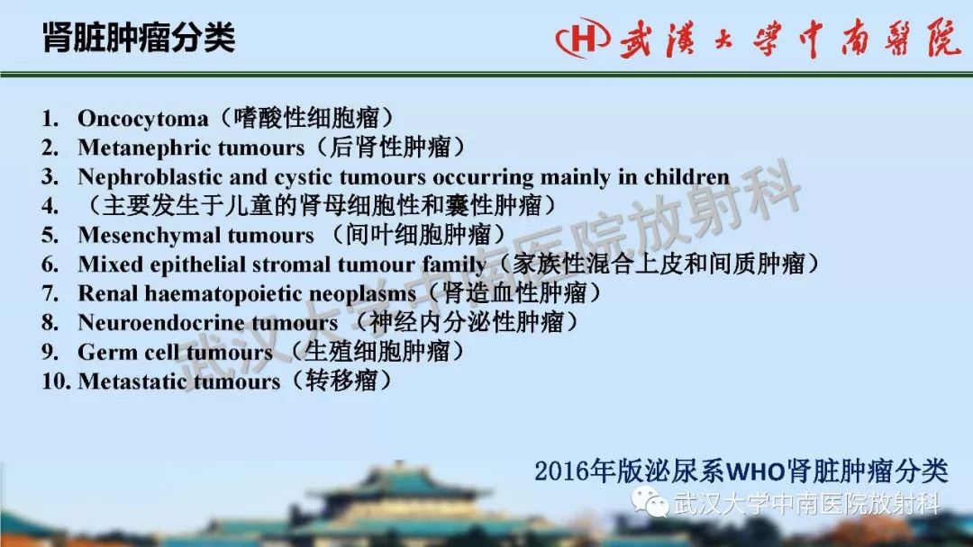 【PPT】肾脏解剖与实性肿瘤