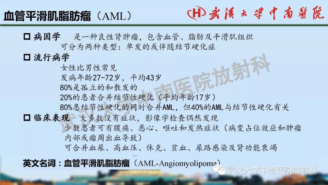 【PPT】肾脏解剖与实性肿瘤