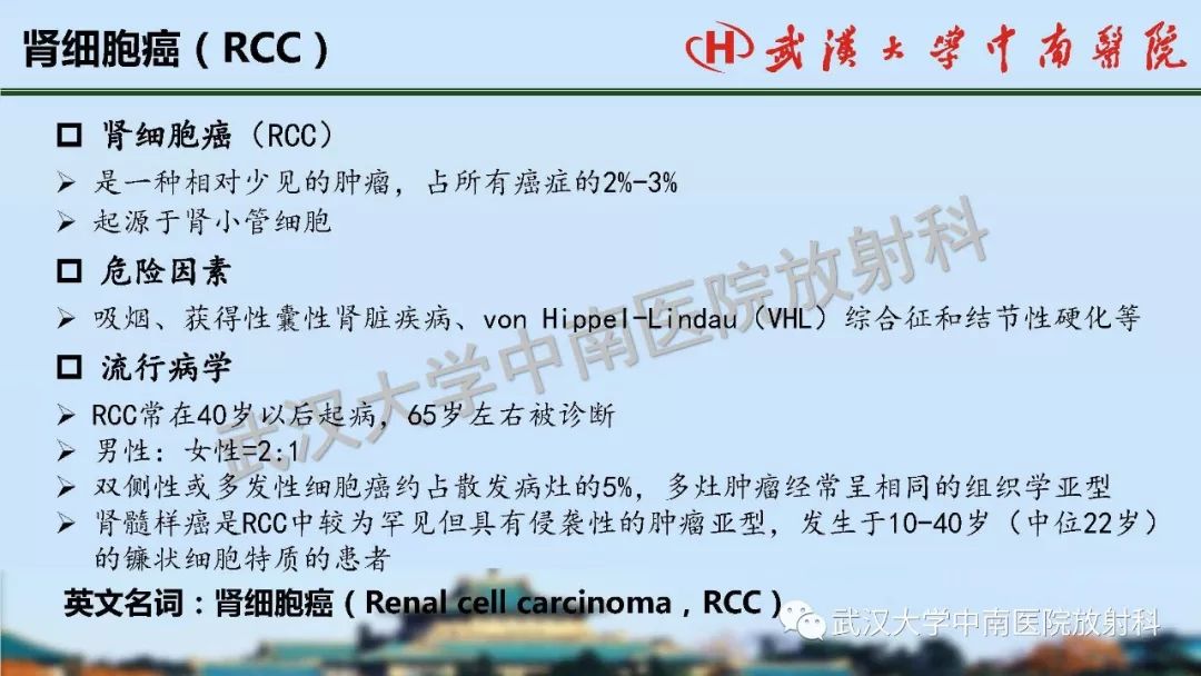 【PPT】肾脏解剖与实性肿瘤