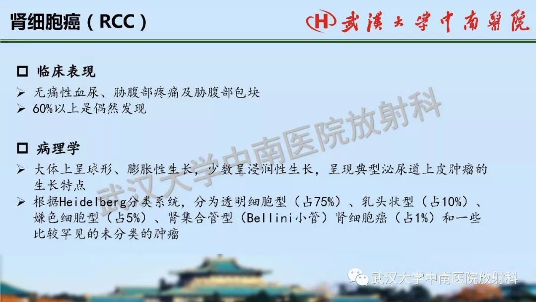 【PPT】肾脏解剖与实性肿瘤