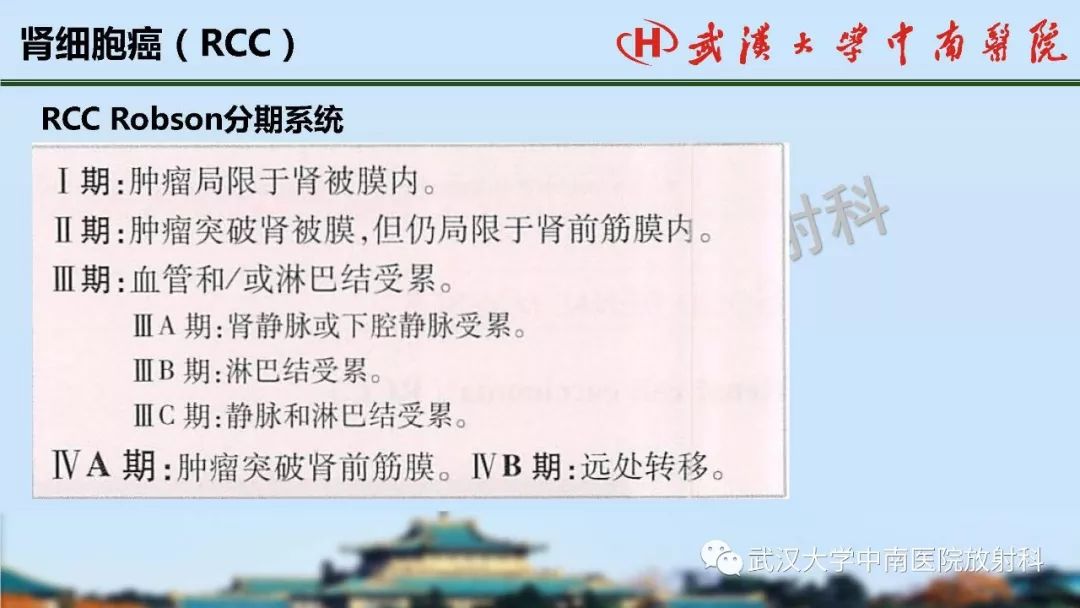 【PPT】肾脏解剖与实性肿瘤