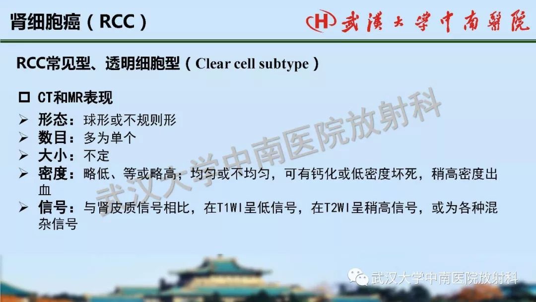 【PPT】肾脏解剖与实性肿瘤