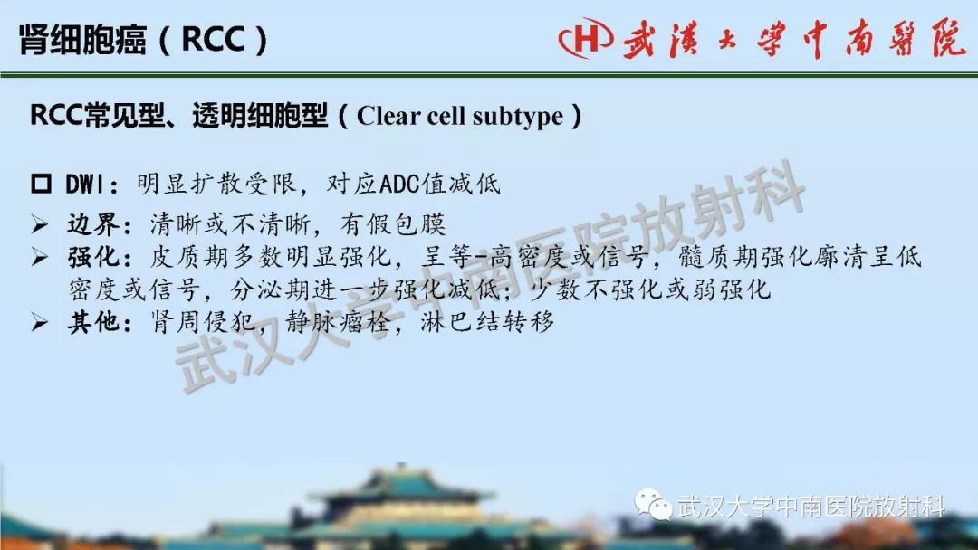 【PPT】肾脏解剖与实性肿瘤