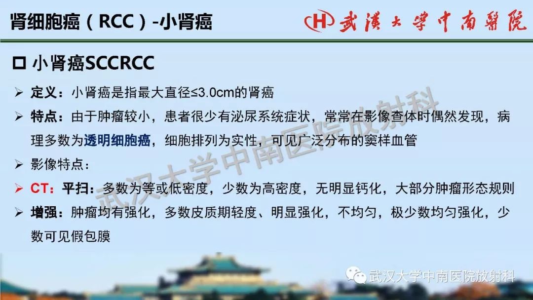 【PPT】肾脏解剖与实性肿瘤