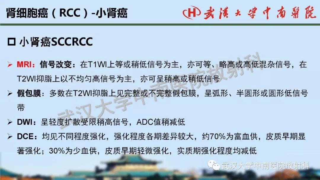 【PPT】肾脏解剖与实性肿瘤