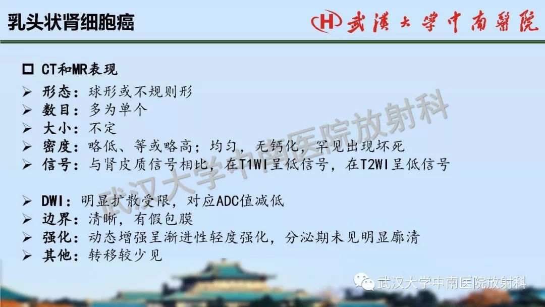 【PPT】肾脏解剖与实性肿瘤