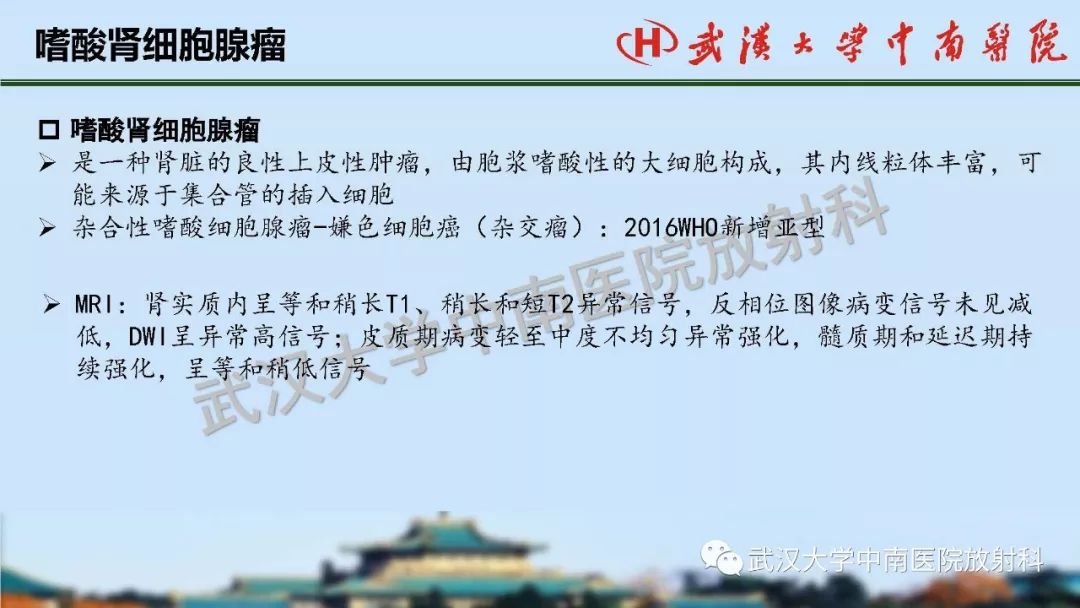 【PPT】肾脏解剖与实性肿瘤