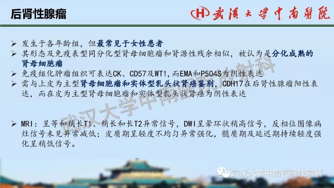 【PPT】肾脏解剖与实性肿瘤
