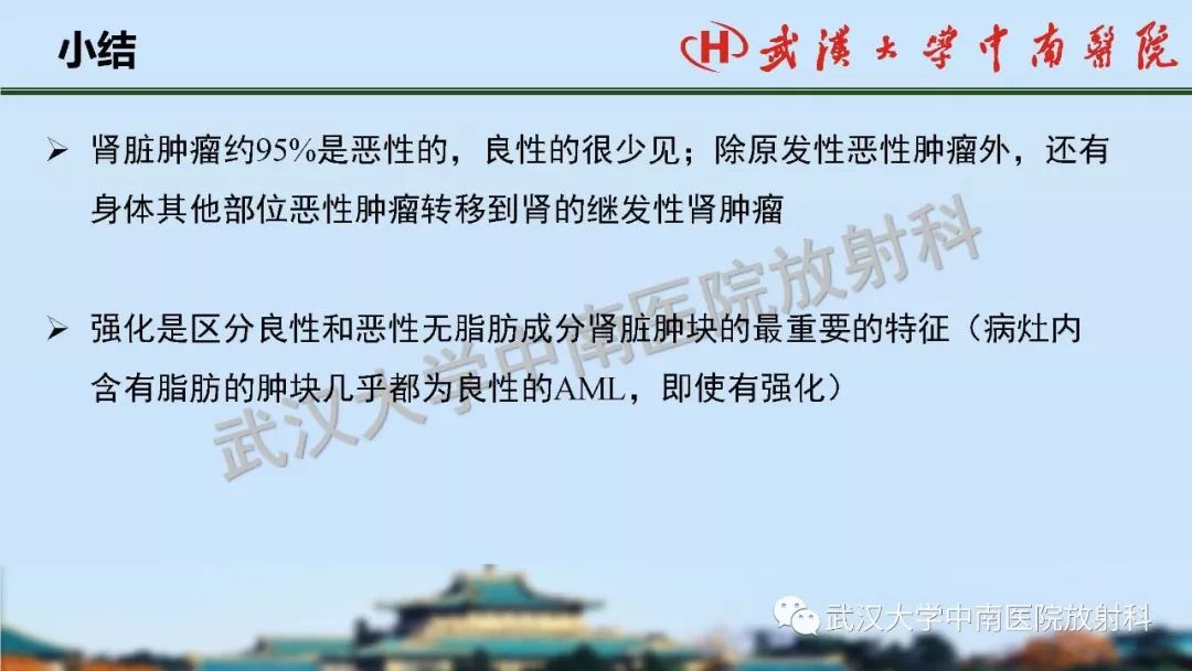 【PPT】肾脏解剖与实性肿瘤