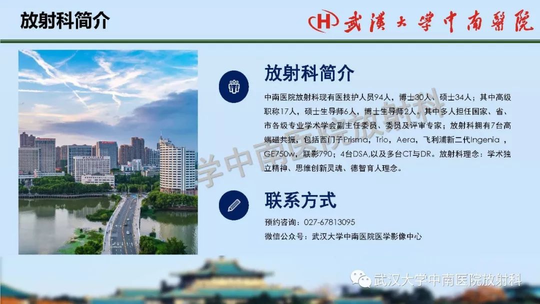 【PPT】肾脏解剖与实性肿瘤