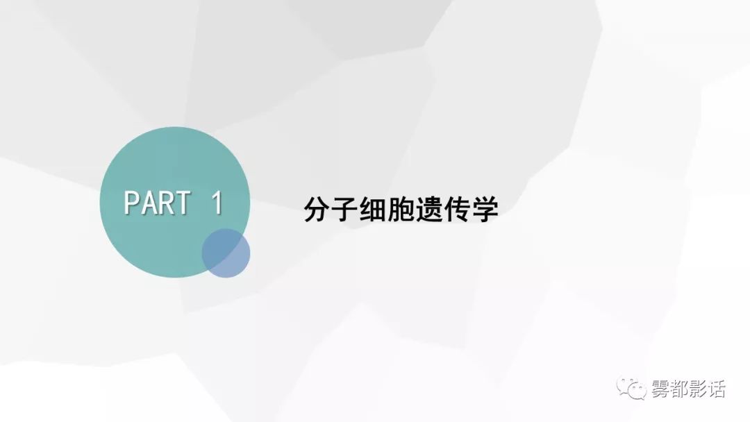 【PPT】希佩尔-林道综合征(VHL 综合征)