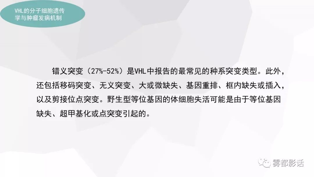 【PPT】希佩尔-林道综合征(VHL 综合征)