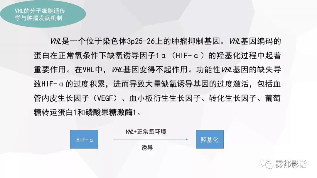 【PPT】希佩尔-林道综合征(VHL 综合征)