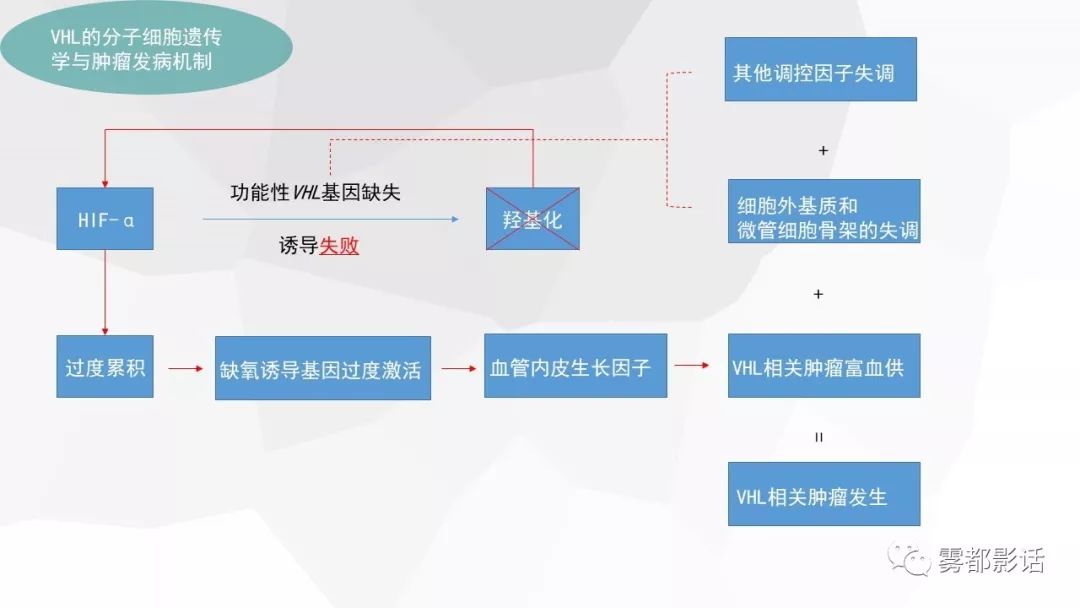 【PPT】希佩尔-林道综合征(VHL 综合征)