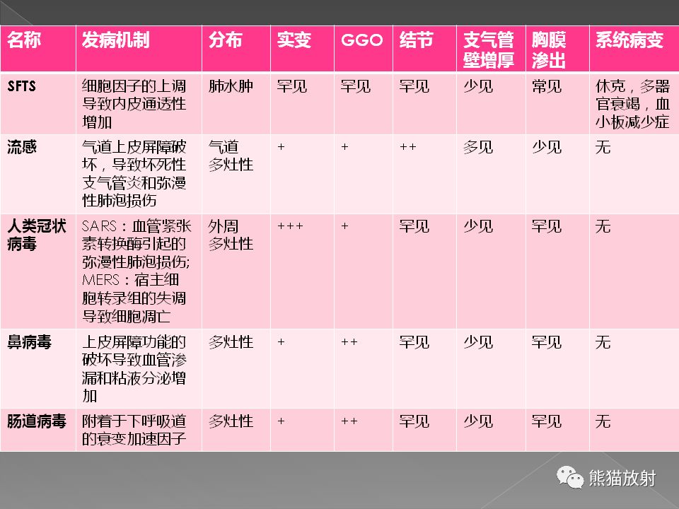 【PPT】病毒性肺炎的X线及CT表现