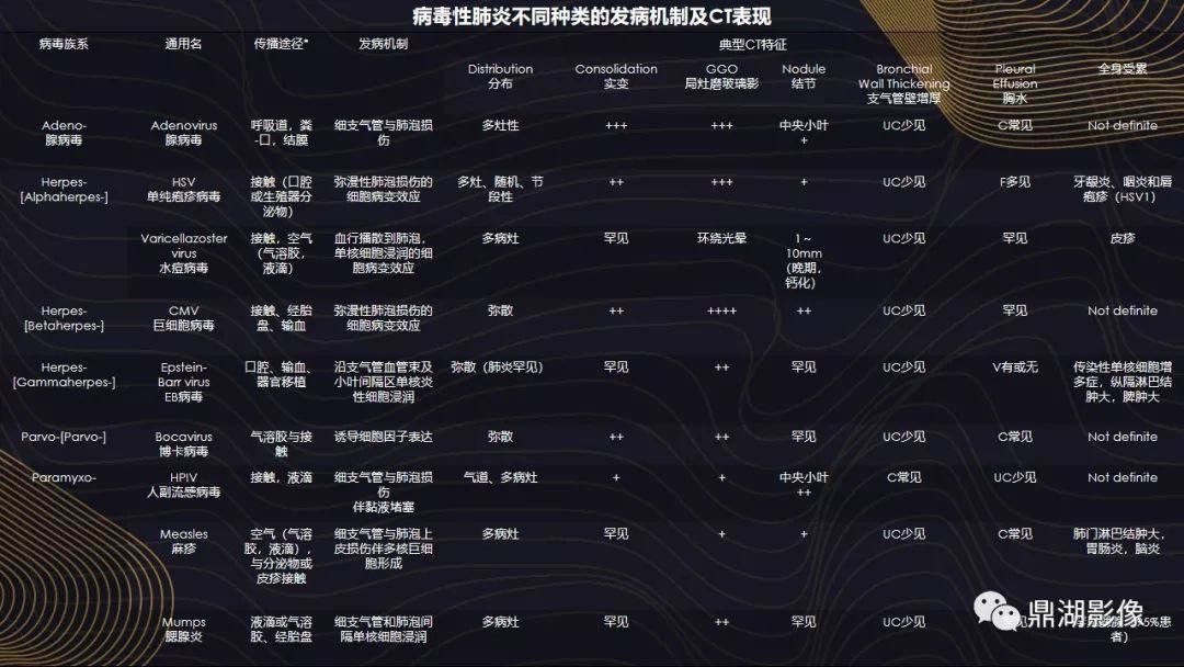 【PPT】病毒性肺炎的相关知识学习