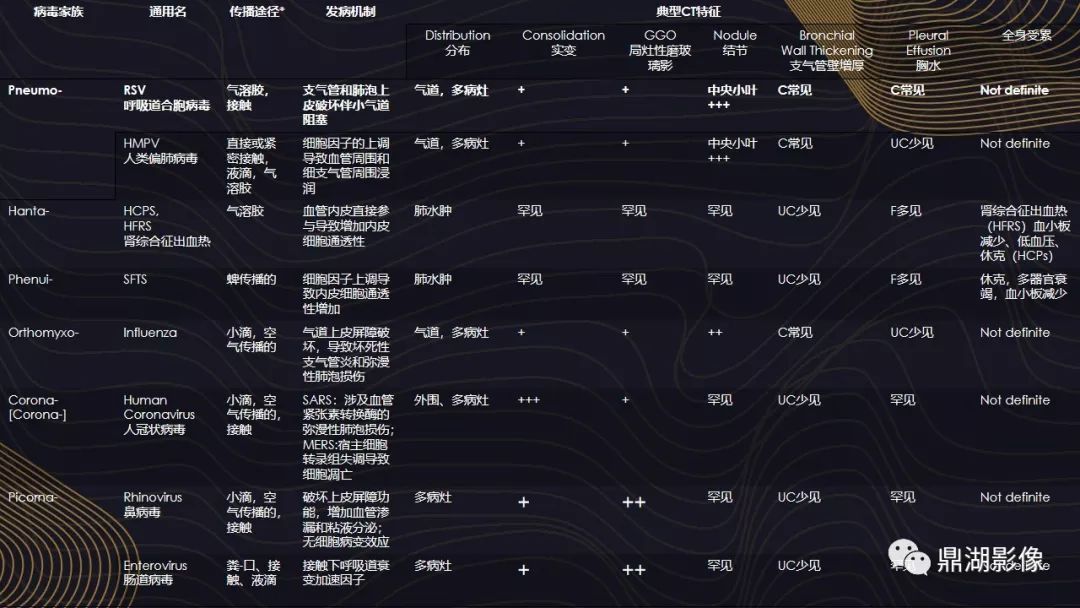 【PPT】病毒性肺炎的相关知识学习