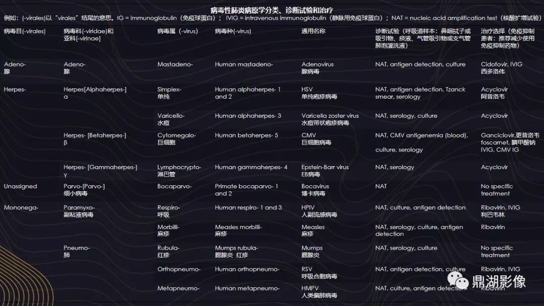 【PPT】病毒性肺炎的相关知识学习