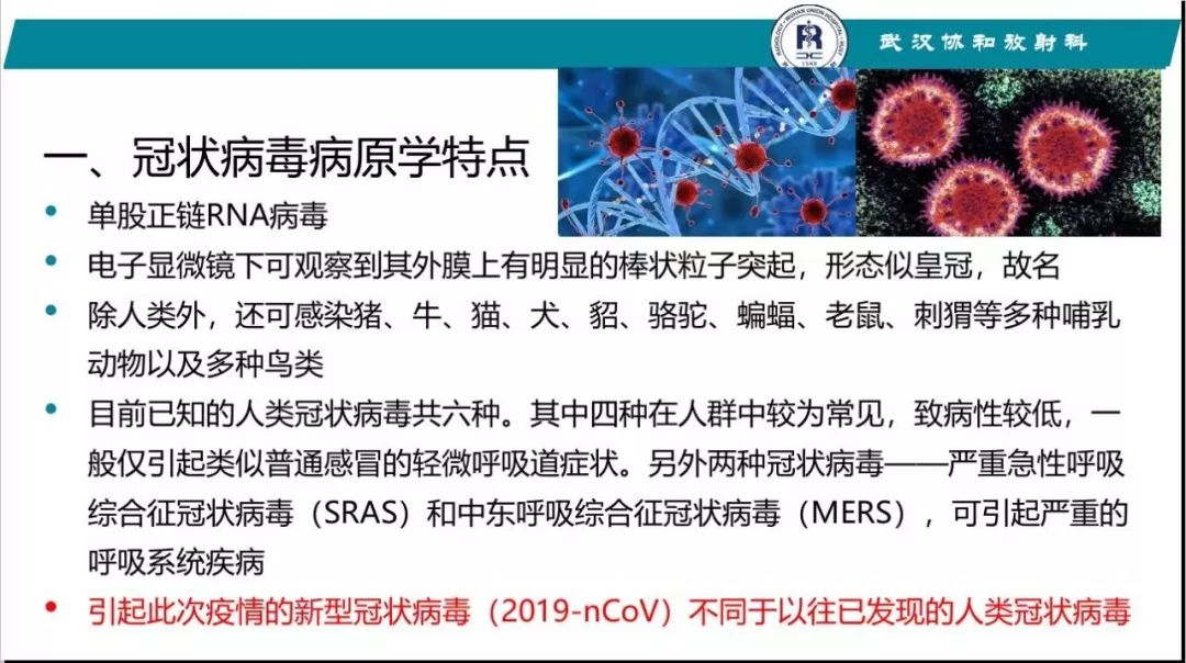 【PPT】武汉19-nCoV 肺炎（新型冠状病毒肺炎）影像学表现初探