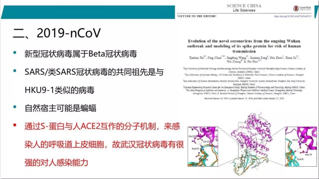 【PPT】武汉19-nCoV 肺炎（新型冠状病毒肺炎）影像学表现初探