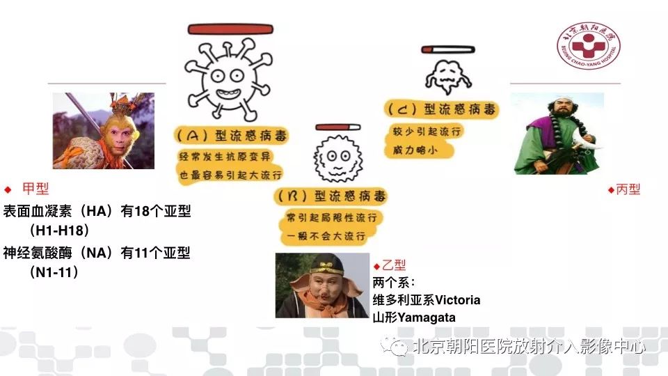 【PPT】病毒性肺炎影像诊断思路