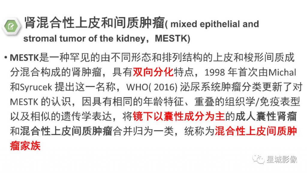【PPT】肾混合性上皮和间质肿瘤