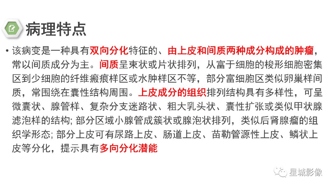 【PPT】肾混合性上皮和间质肿瘤