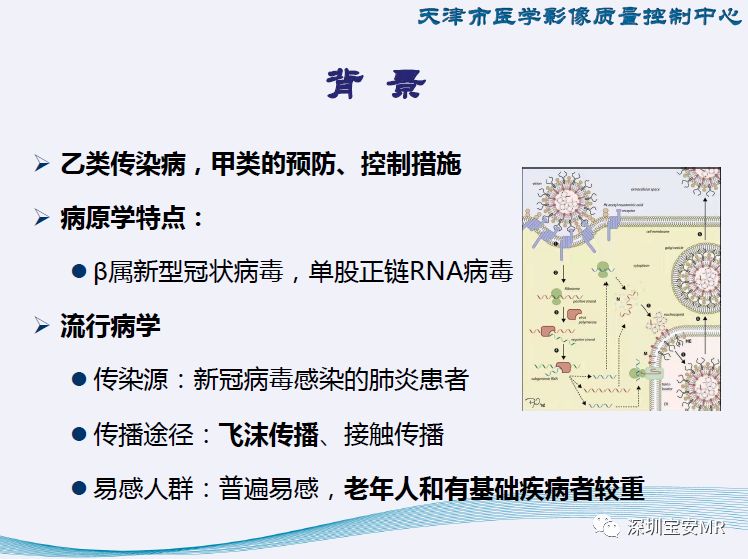 【PPT】新型冠状病毒感染肺炎影像学表现—阶段性总结