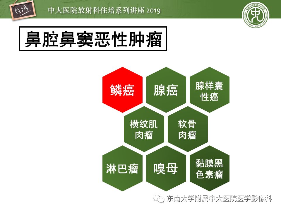【PPT】鼻腔鼻窦恶性肿瘤影像诊断