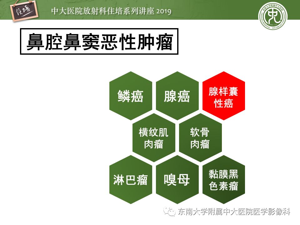 【PPT】鼻腔鼻窦恶性肿瘤影像诊断
