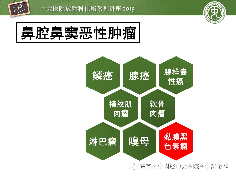 【PPT】鼻腔鼻窦恶性肿瘤影像诊断
