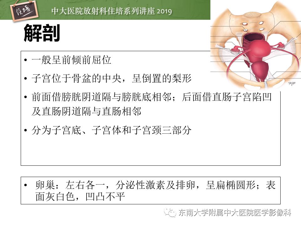 【PPT】子宫影像解剖及相关MR信号分析