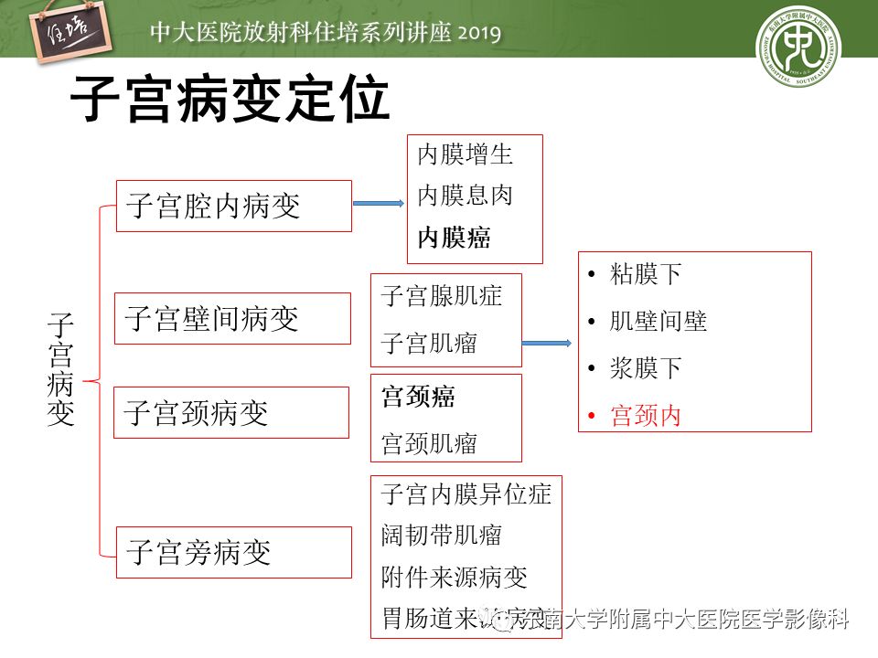 【PPT】子宫影像解剖及相关MR信号分析