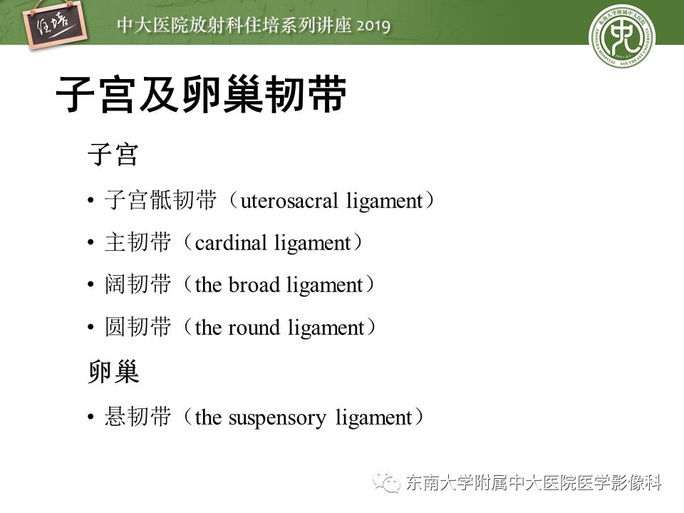 【PPT】子宫影像解剖及相关MR信号分析