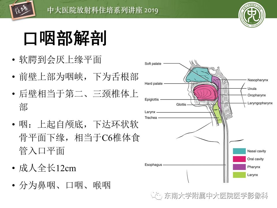 【PPT】口咽部异物及感染性病变的影像诊断
