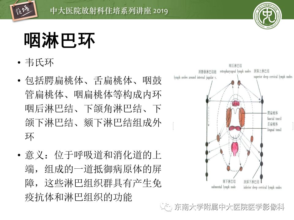 【PPT】口咽部异物及感染性病变的影像诊断