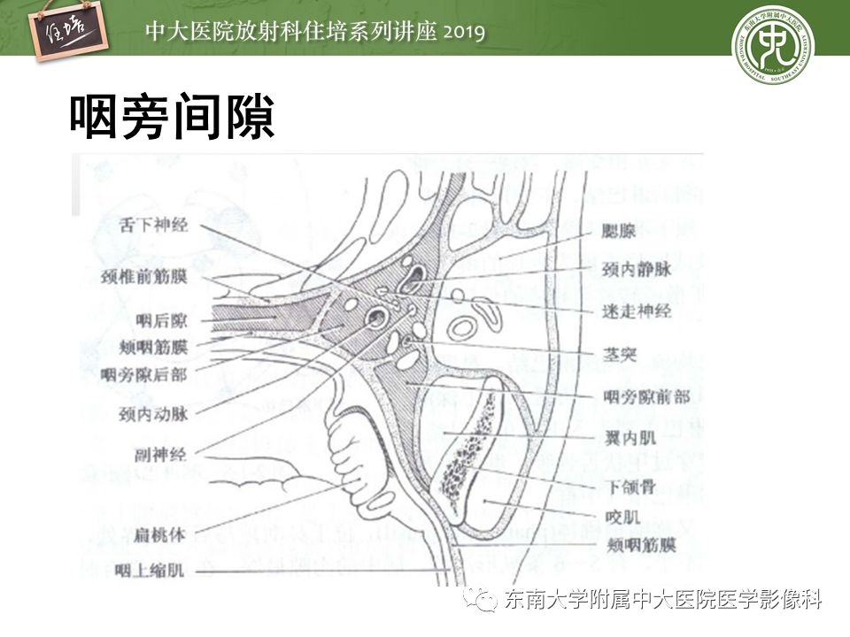 【PPT】口咽部异物及感染性病变的影像诊断