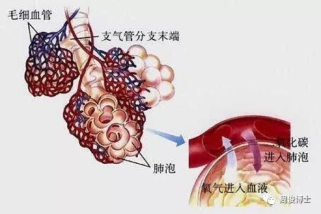 新型冠状病毒肺炎的CT图像 新型冠状病毒肺炎的CT图像