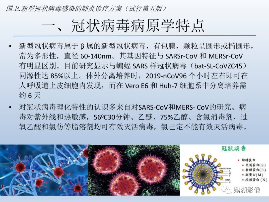 【PPT】新型冠状病毒感染的肺炎影像汇集