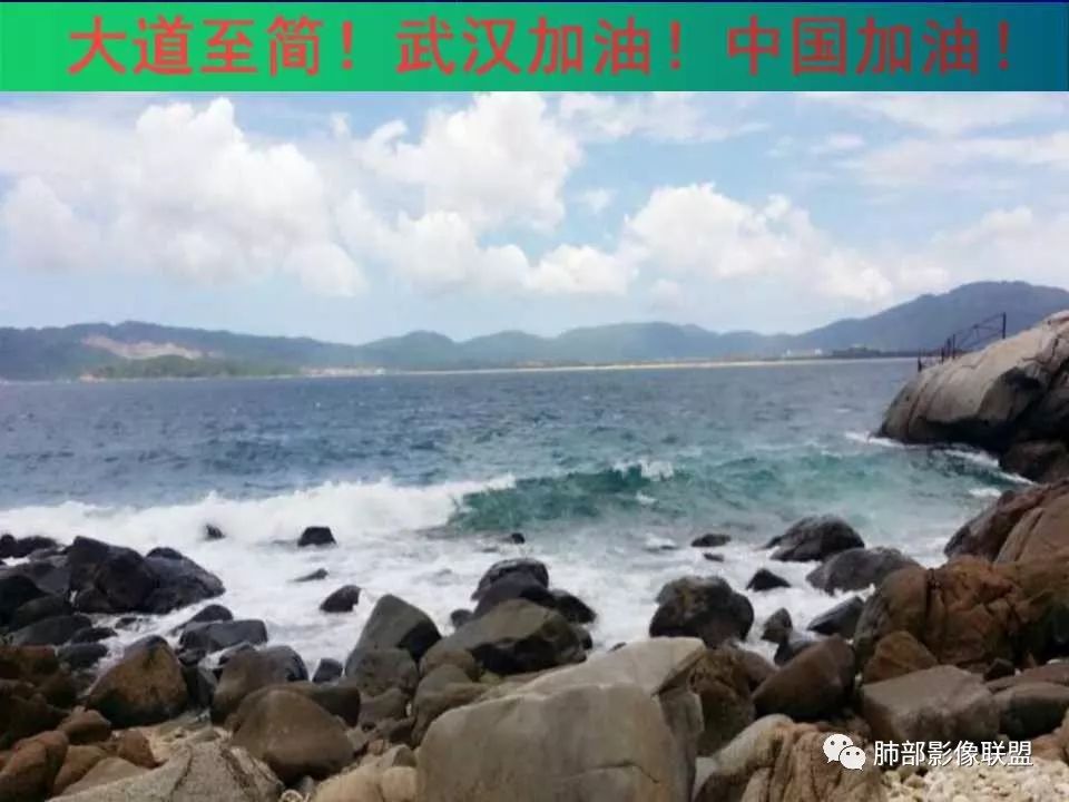 【PPT】新型冠状病毒肺炎CT征象识别及快速诊断