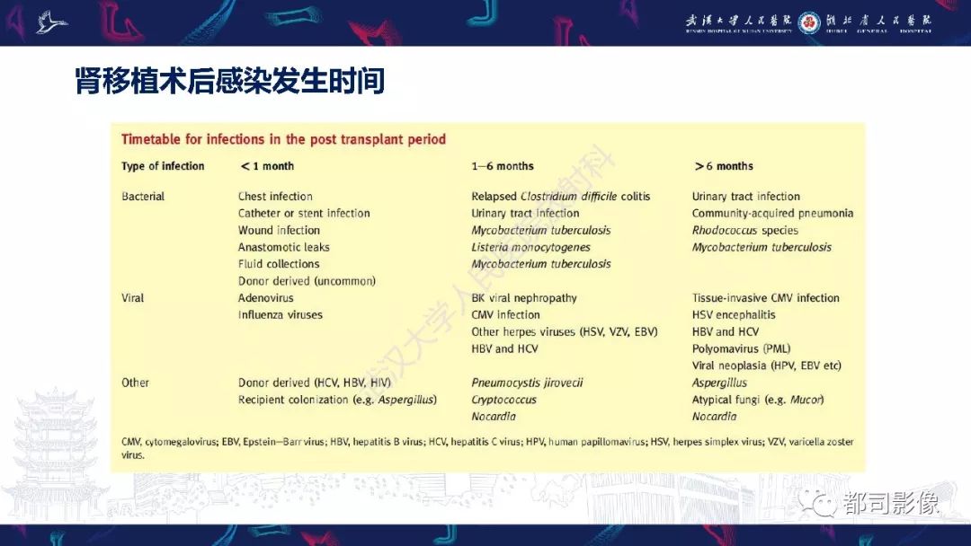 【PPT】肾移植术后并发症的CT和MRI表现