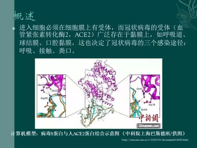 【PPT】病毒性肺炎概念与CT表现—新型冠状病毒肺炎