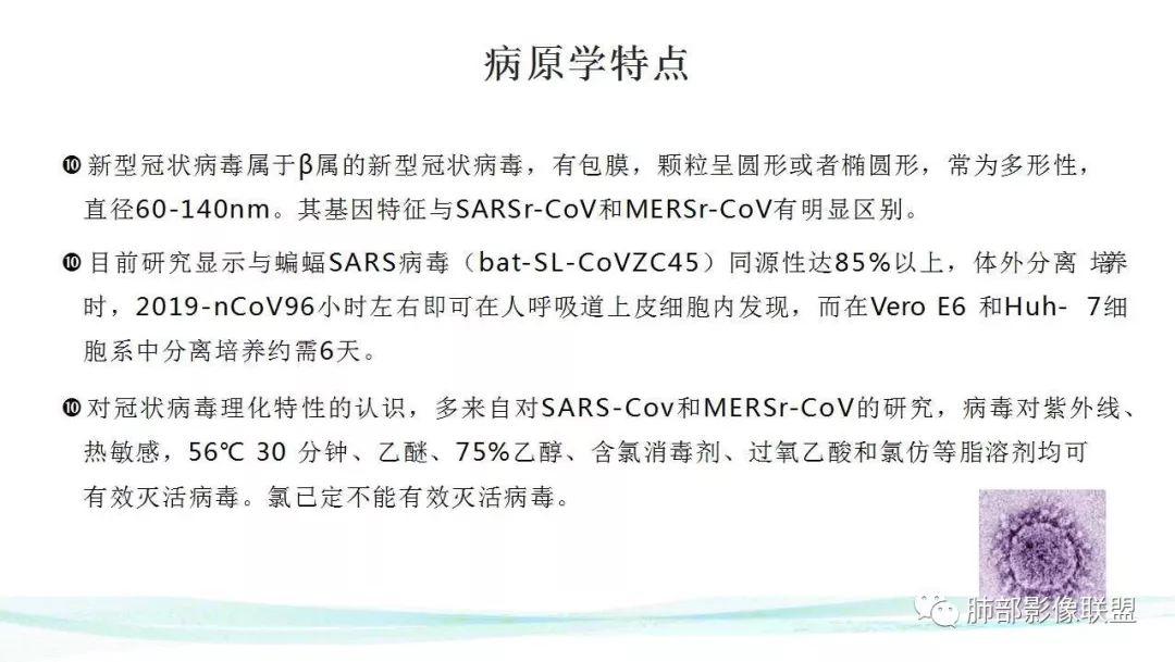 【PPT】新型冠状病毒肺炎的鉴别诊断