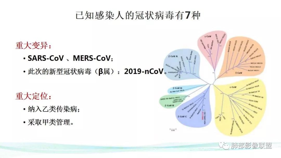 【PPT】新型冠状病毒肺炎的鉴别诊断