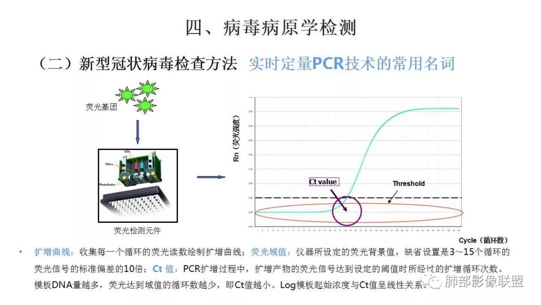 【PPT】新型冠状病毒肺炎的鉴别诊断