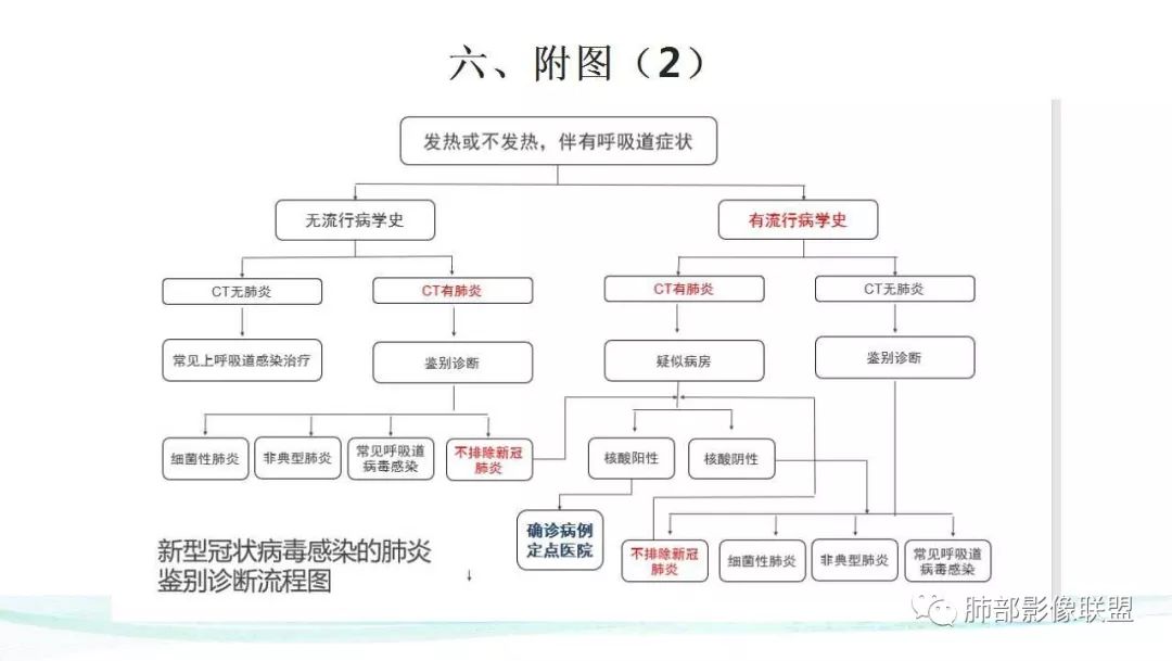 【PPT】新型冠状病毒肺炎的鉴别诊断