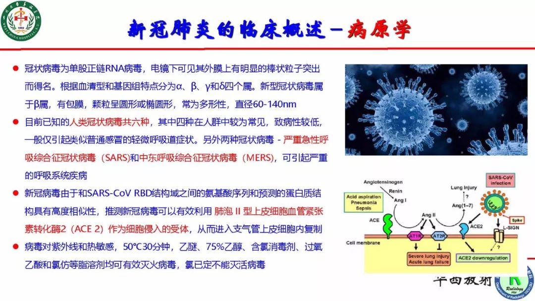 【PPT】影像学在抗击新型冠状病毒肺炎战“疫”中的价值