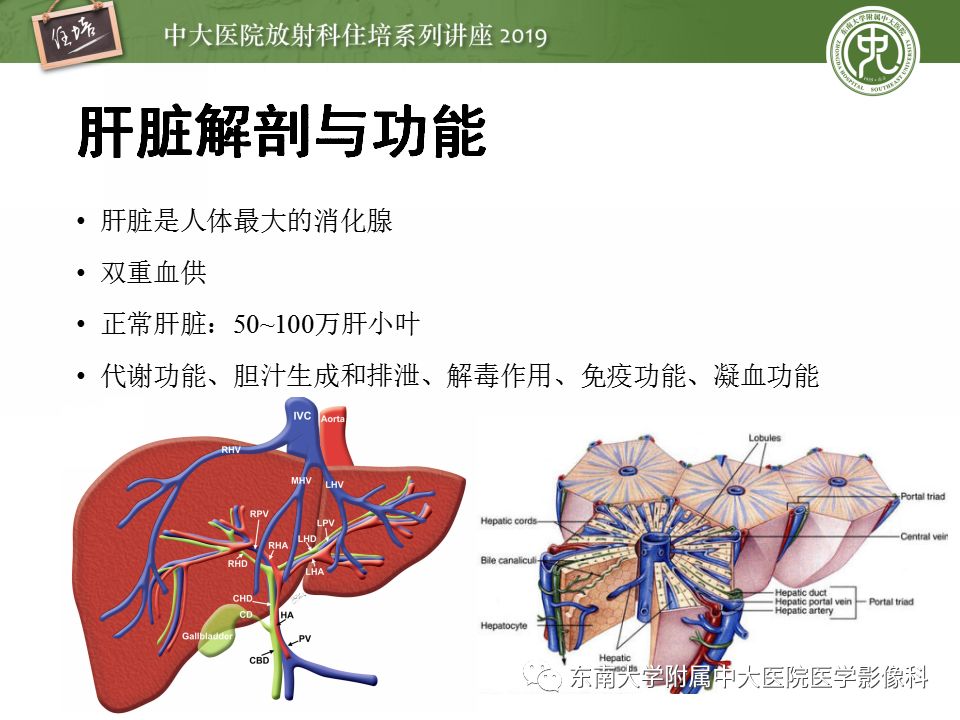 【PPT】肝脏弥漫性病变影像表现